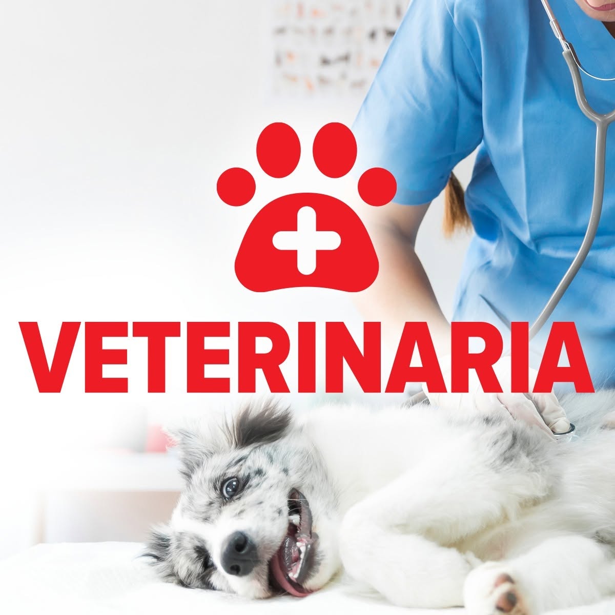 Veterinaria - Cabinet veterinar Brașov